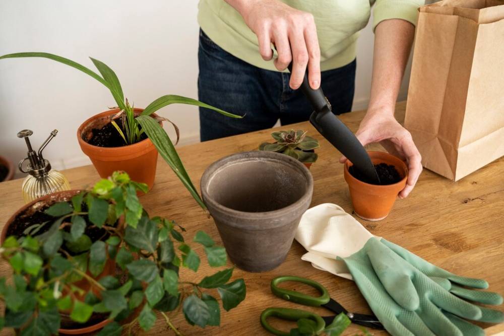 راهنمای کامل تعویض خاک