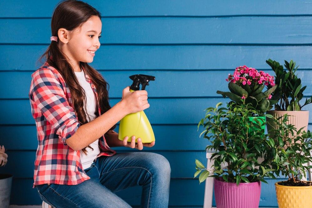 نیازهای آبیاری گیاهان